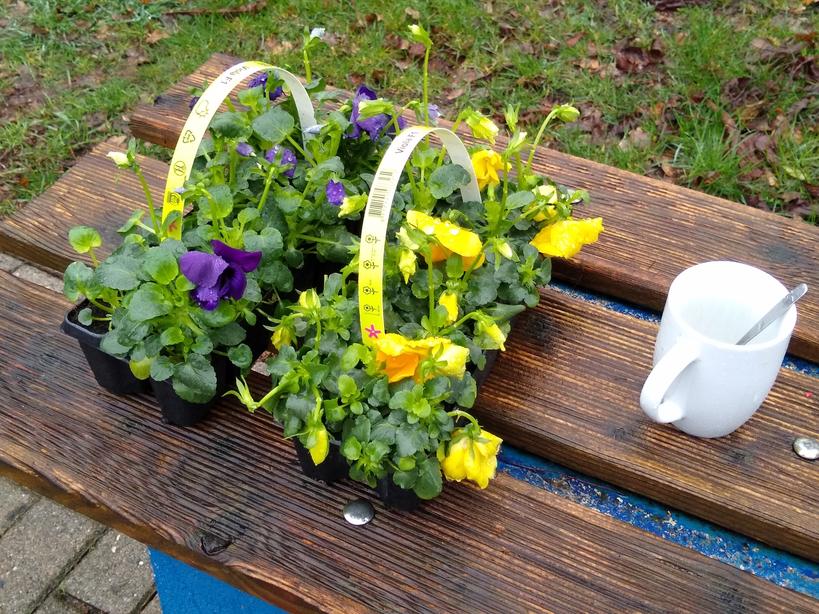 IMG 20190316 115801082