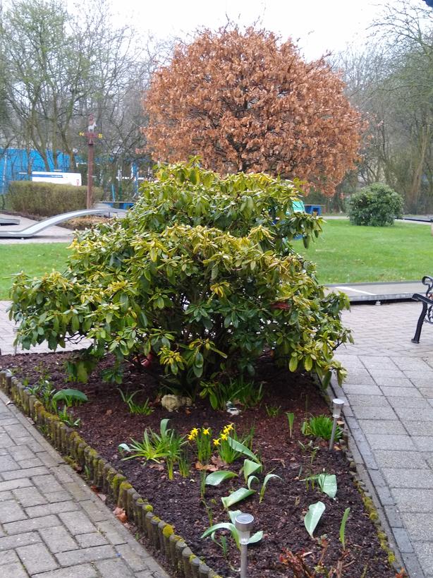 IMG 20190316 115911746