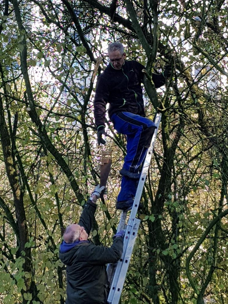 20181103 122554 Kopie