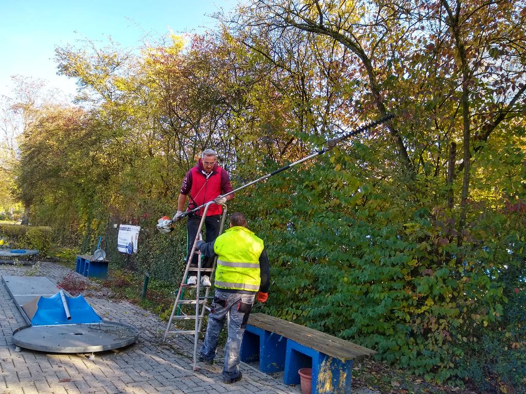 IMG 20181103 105811873 HDR