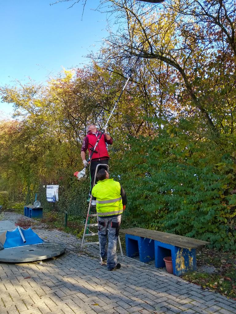 IMG 20181103 105824678 HDR