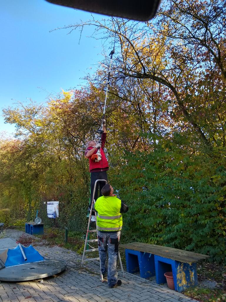 IMG 20181103 105829112 HDR