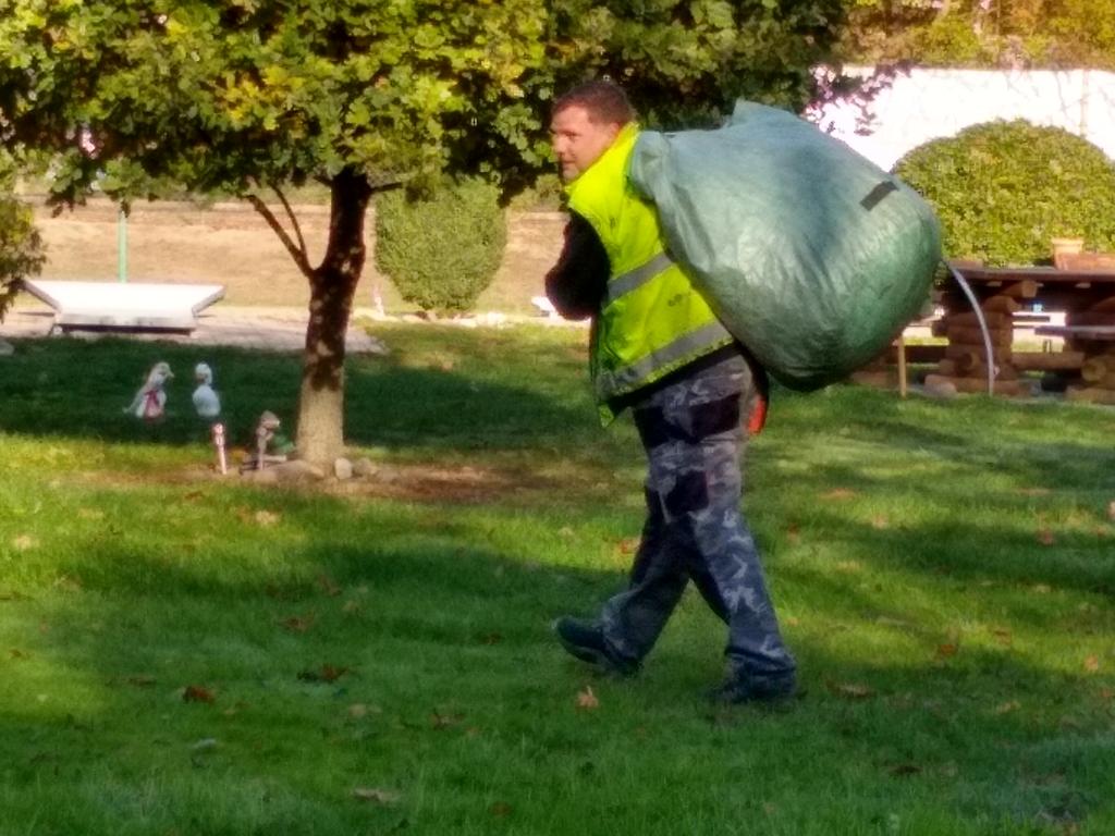 IMG 20181103 113819970 HDR