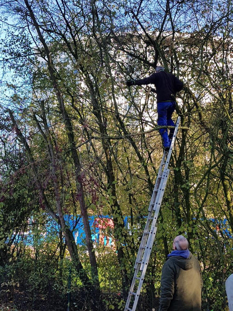 IMG 20181103 122625 Kopie