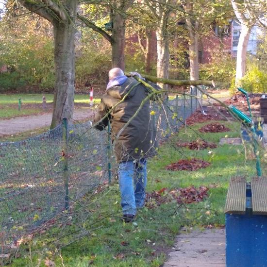 comp IMG 20181103 114312394